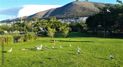 Green Point Urban Park Cape Town