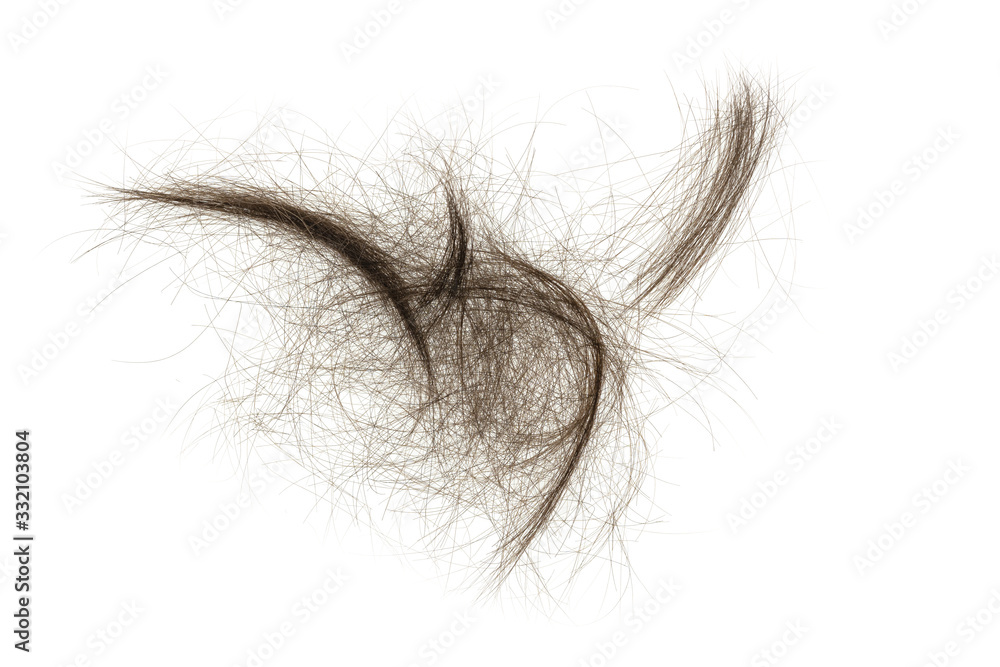 Hair bundle isolated on white background. tuft hair close-up Hair bundle isolated on white background. tuft hair close-up