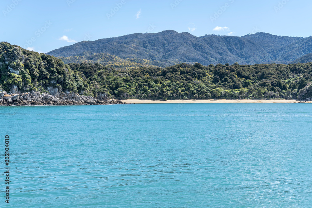 sand beach and green shore at Cyathea Cove, near Kaiteriteri, Abel Tasman park, New Zealand sand beach and green shore at Cyathea Cove, near Kaiteriteri, Abel Tasman park, New Zealand