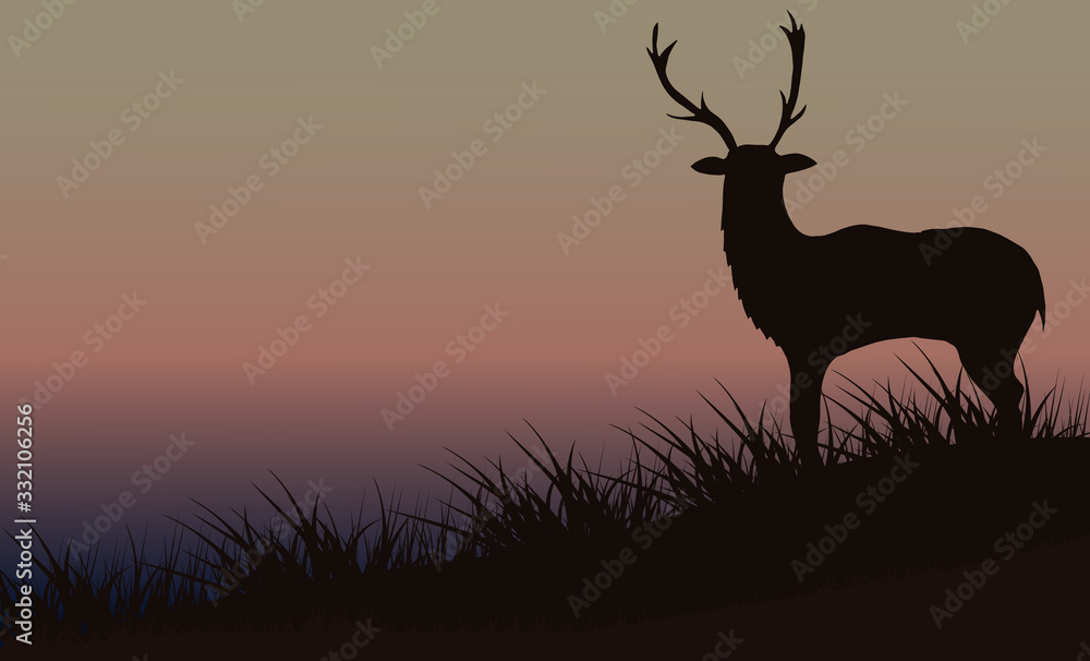 Silhouette of a deer in the grass against a background of a beautiful foggy sky.