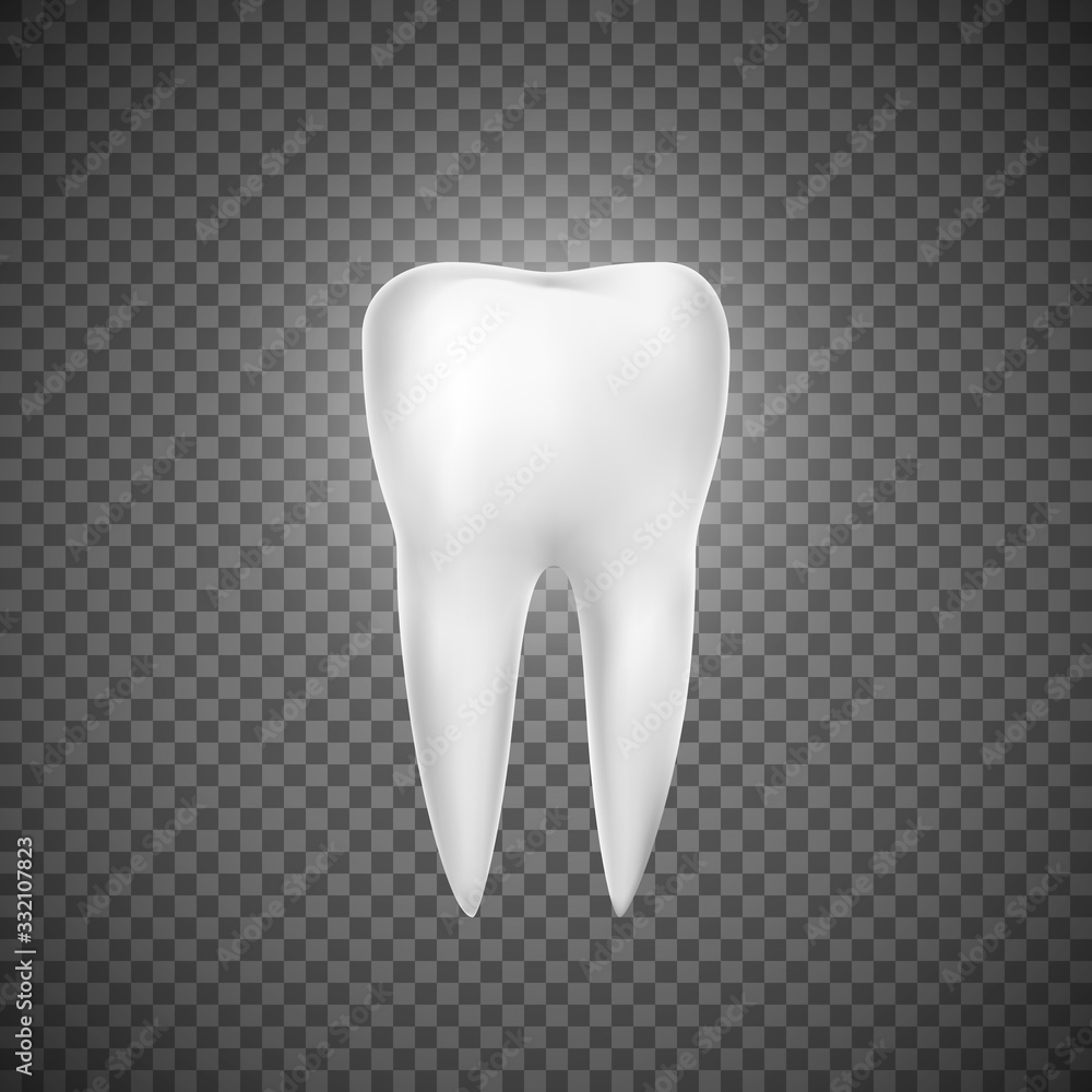 Realistic tooth illustration. Dental care and tooth restoration. Medicine icon. Vector illustration on ransparent background Realistic tooth illustration. Dental care and tooth restoration. Medicine icon. Vector illustration on ransparent background