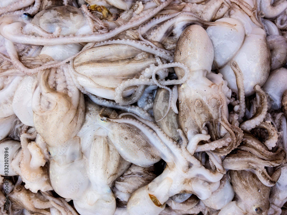 Fresh seafood is on sale in the market Fresh seafood is on sale in the market