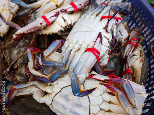 Fresh seafood is on sale in the market