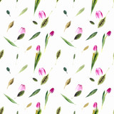 Seamless pattern with tulips and leaves on white background. Watercolor illustration