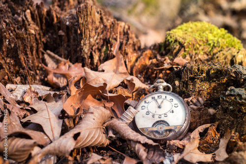 Antique decayed pocket watch in nature with dry leaves and green moss