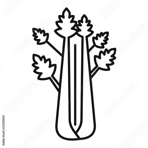 Detox celery icon. Outline detox celery vector icon for web design isolated on white background