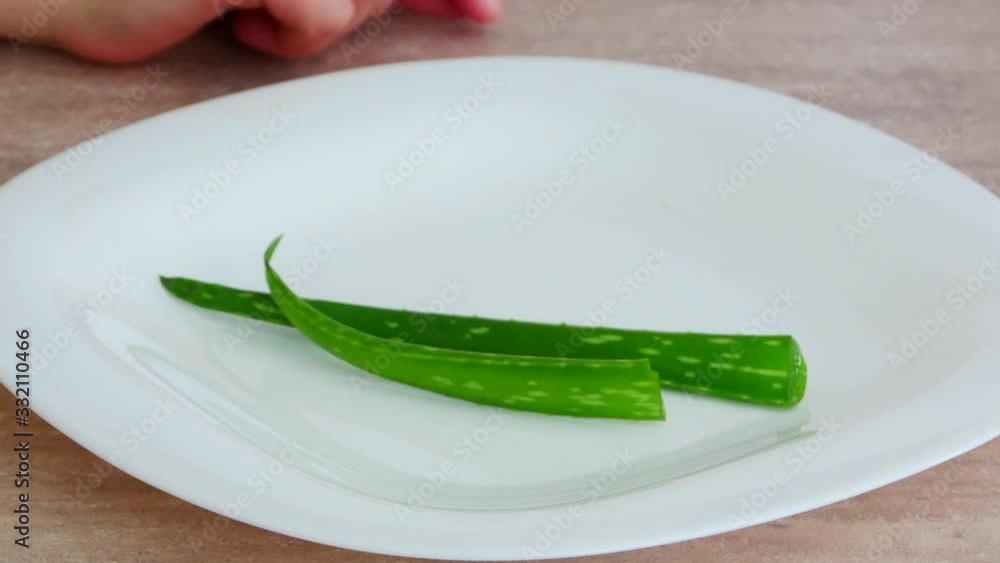 hand putting aloe vera leaves