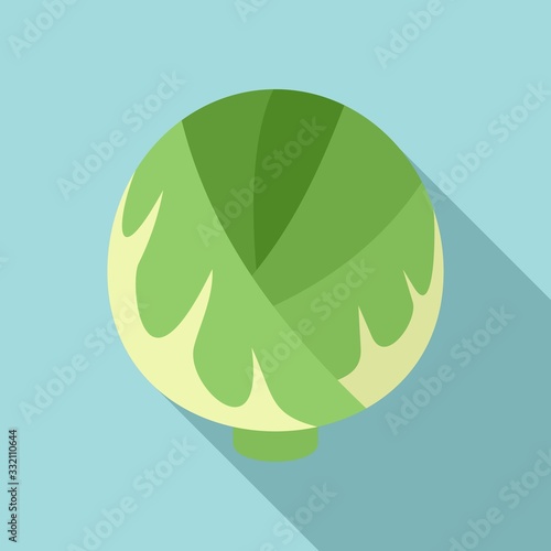 Cabbage plant icon. Flat illustration of cabbage plant vector icon for web design