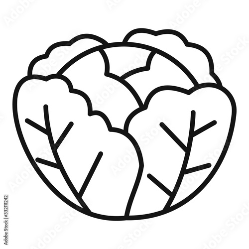 Cabbage icon. Outline cabbage vector icon for web design isolated on white background