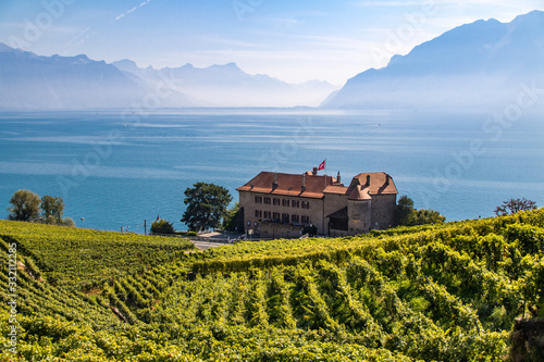 Konstfotografi Vignoble en terrasses de Lavaux, classé au patrimoine mondial de l'UNESCO, entre