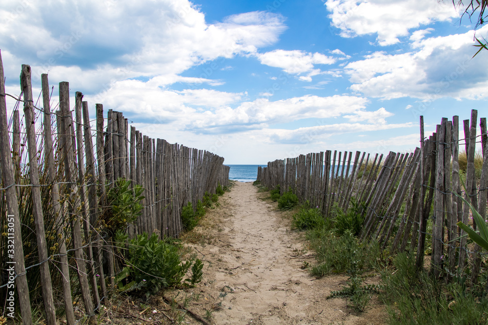 Fototapeta premium Vue sur la plage et les dunes sauvages de Carnon-Plage (Occitanie, Hérault)