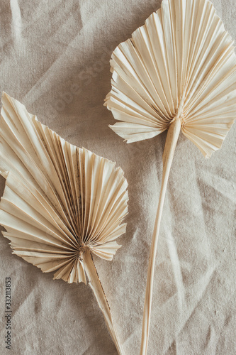 Obraz na plátně Tan fan craft leaves on beige washed linen cloth