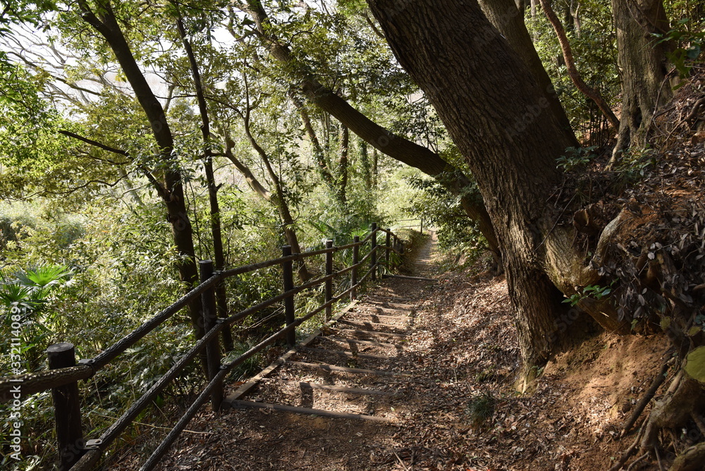 Fototapeta premium 階段