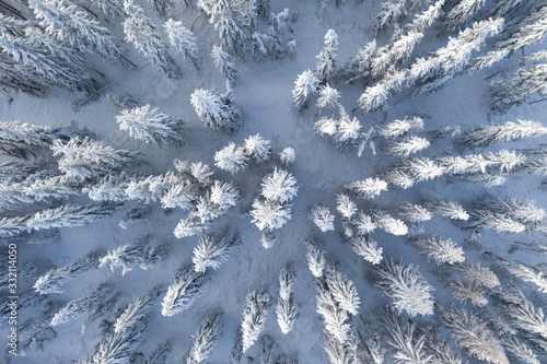 Fototapeta Naklejka Na Ścianę i Meble -  Droga