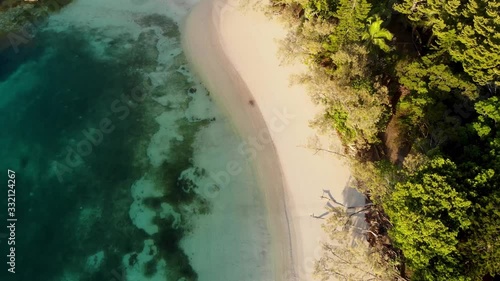 Surrounded by plants of coconut trees and column pines, the beach of Kanumera bay is ideal for snorkeling in the scenario of the Isle of Pines in New Caledonia. photo