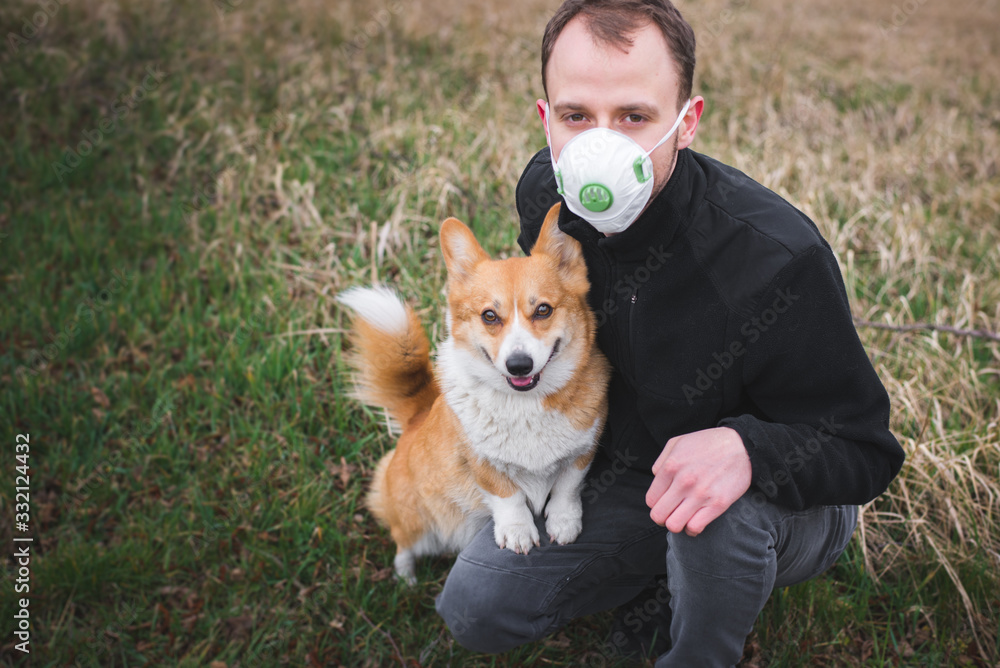 a man on a walk with a corgi dog wearing a face mask and during coronavirus pandemia a man on a walk with a corgi dog wearing a face mask and during coronavirus pandemia
