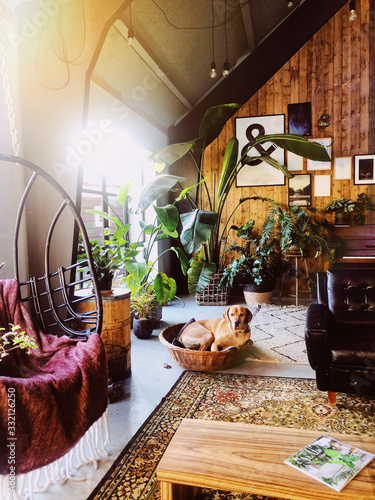 Bohemian eclectic interior with lots of plants.