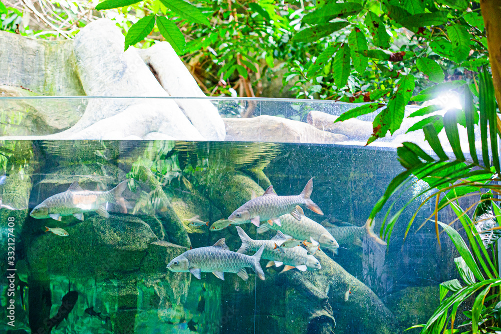 Large aquarium in Oceanarium in Langkawi island, Malaysia Stock Photo