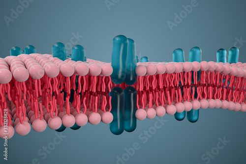 Cell membrane and biology, biological concept, 3d rendering. photo