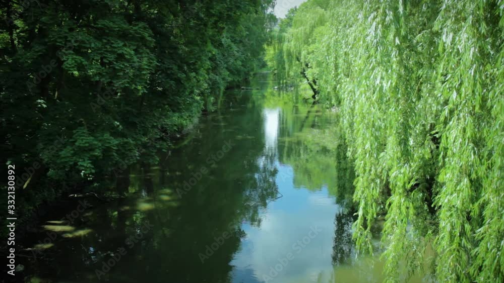 beautiful view of lake in forest beautiful view of lake in forest