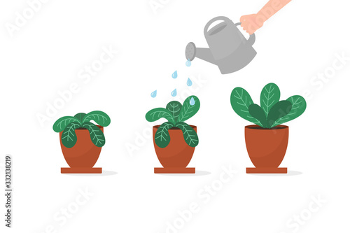 Wilted houseplant opposite of living green plant in brown pot. Plant care concept. Watering, fertilizeed. Before and after watering and care. Vector illustration