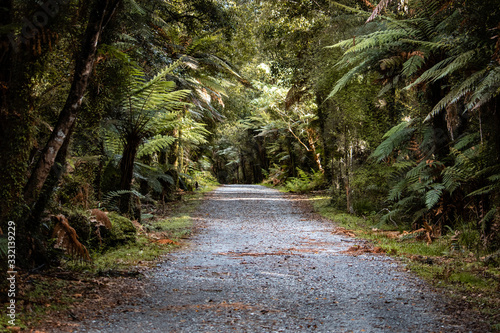 Monro beach walk