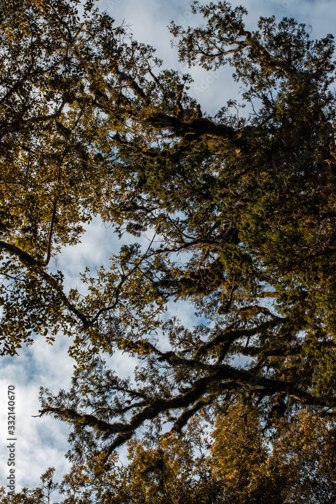Fototapeta premium Monro beach walk