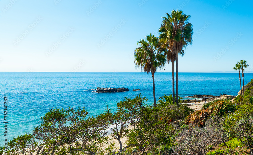Palm trees by the sea in Laguna Beach shore on a sunny day
