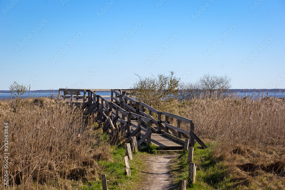 View of a peaceful Bodden landscape on the Baltic Sea with blue sky