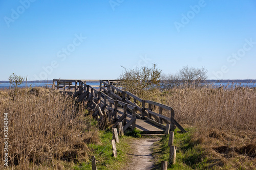 Obraz na płótnie View of a peaceful Bodden landscape on the Baltic Sea with blue sky w salonie