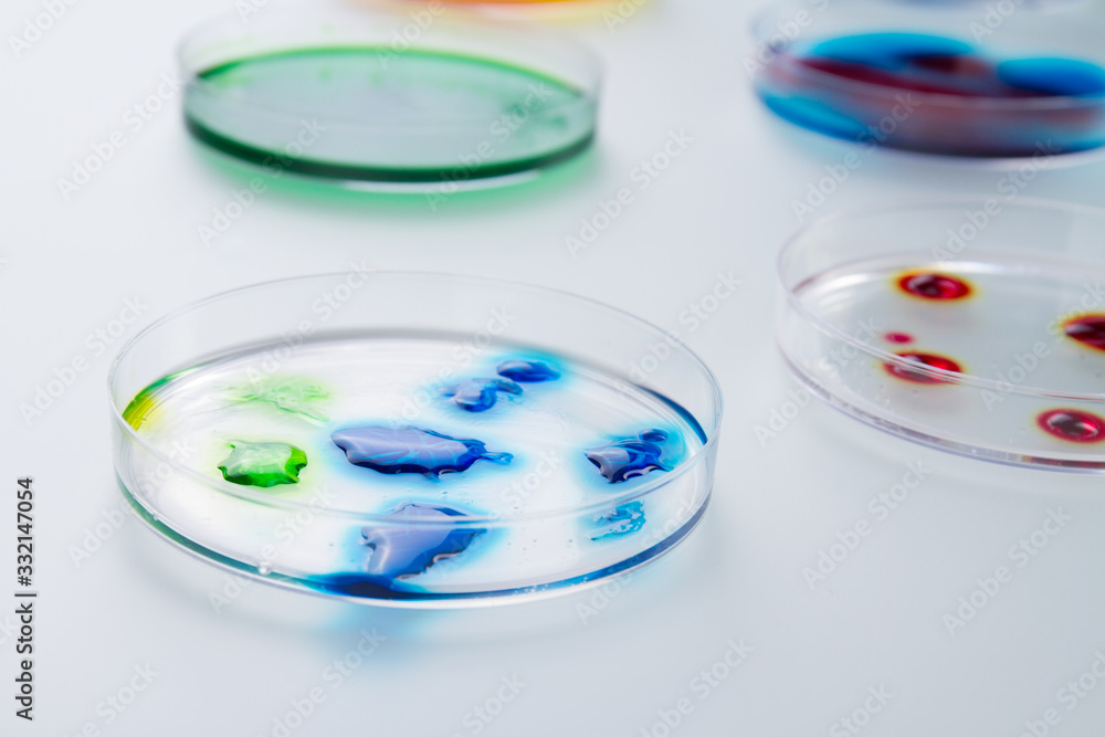 Drops of colorful liquid on petri dishes. Culture plates with reagents for research under microscope. Drops of colorful liquid on petri dishes. Culture plates with reagents for research under microscope.