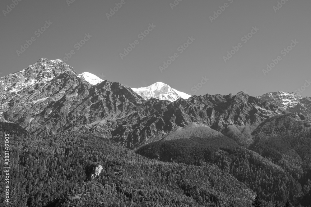 Pine Covered Hills and Snow Peaks