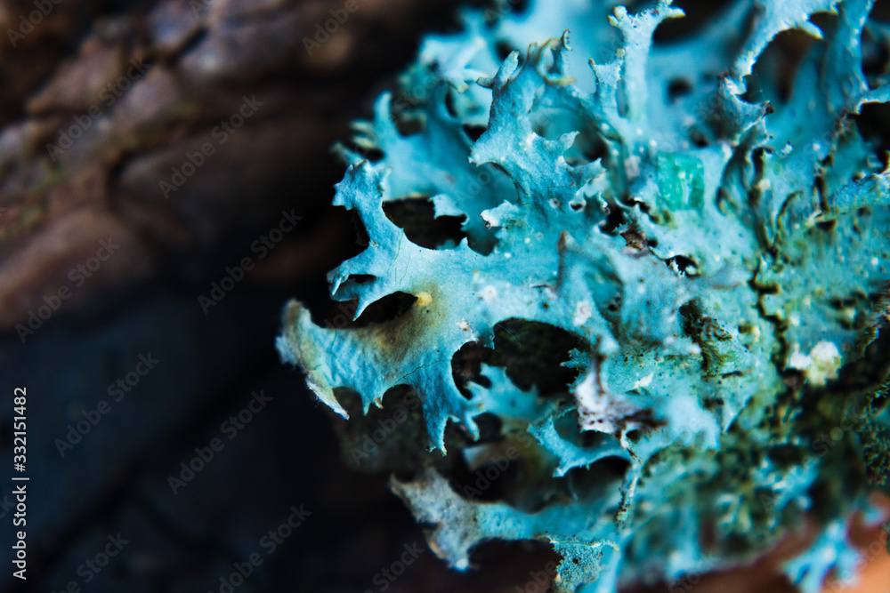 Obraz premium abstract background