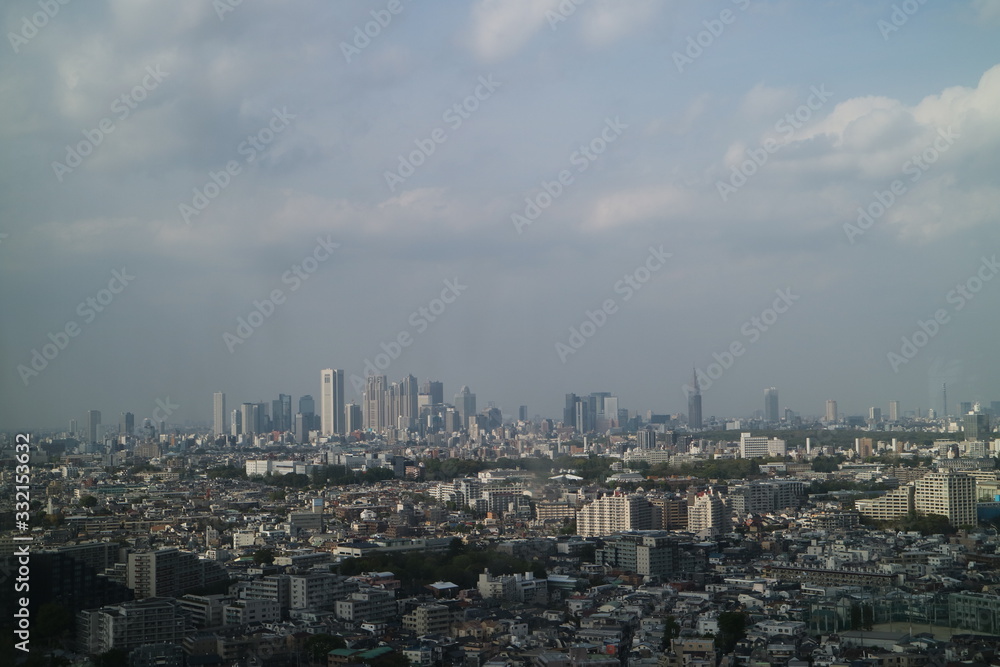 高層ビル（キャロットタワー）からの東京を眺める
