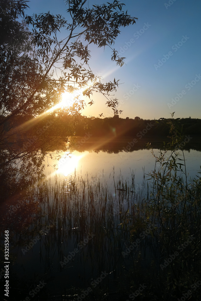 Obraz premium The sun shines through the willow branches on the lake, at sunset.
