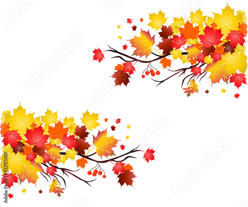 Free vector autumn leaves free vector