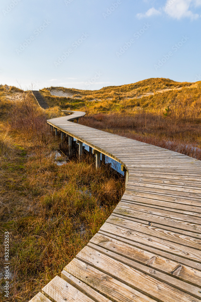 Wooden path leading through the dunes to the beach of German North Sea island  Amrum
