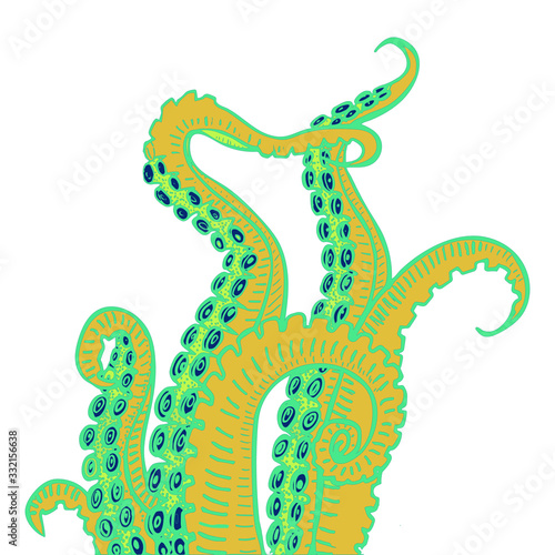 vector illustration of octopus tentacles. Drawing of a marine inhabitant.