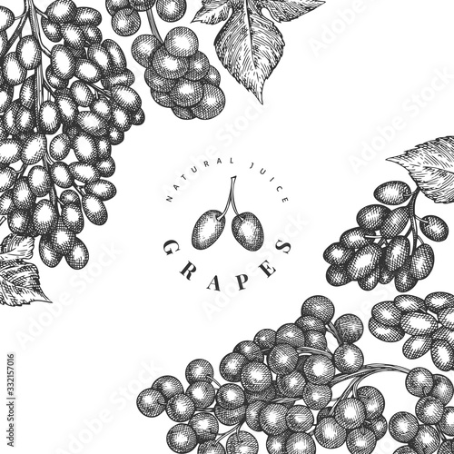 Grape design template. Hand drawn vector grape berry illustration. Engraved style retro botanical banner.