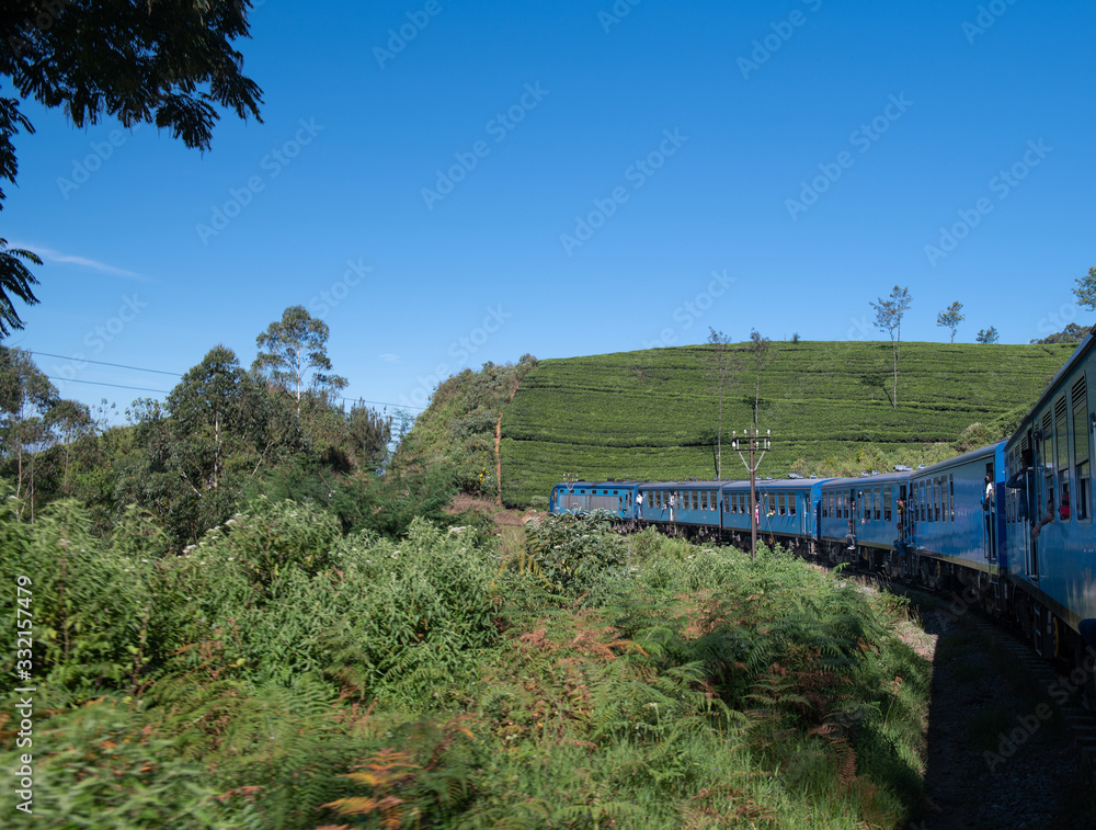 Famous train ride in Ella, Sri Lanka