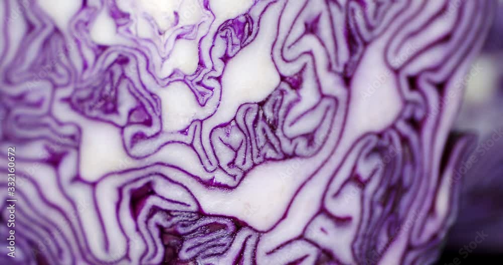 Fresh red cabbage in cross section. Fresh red cabbage in cross section.