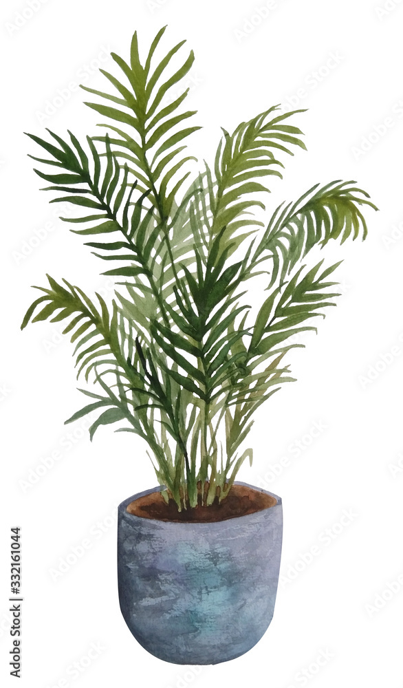 watercolor hand drawn illustration of areca parlor palm plant on white isolated background for interior design nature lovers flower houseplant in pastel neutral pot lush foliage urban tropical jungle
