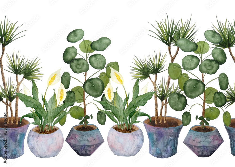 Watercolor seamless hand drawn border potted indoor flowers peace lily Spathiphyllum Pilea Chinese money plant dracaena on white isolated background green foliage pot interior design urban jungle