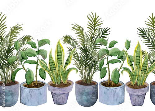 Watercolor seamless hand drawn border potted indoor flowers snake rubber plant sansevieria ficus areca palm on white isolated background  green foliage pink pastel pots interior design urban jungle