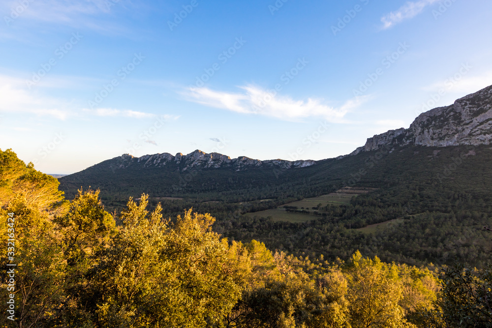 Lumière rasante du coucher de soleil sur la végétation et le Pic Saint-Loup (Occitanie, France)