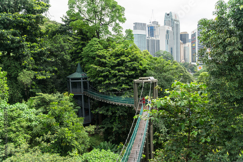 Photography Kl eco park canopy walk
