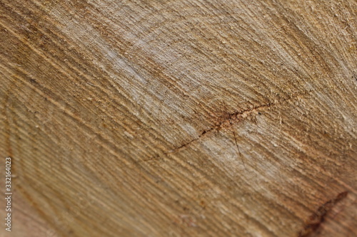 The texture is based on the core of a felled tree