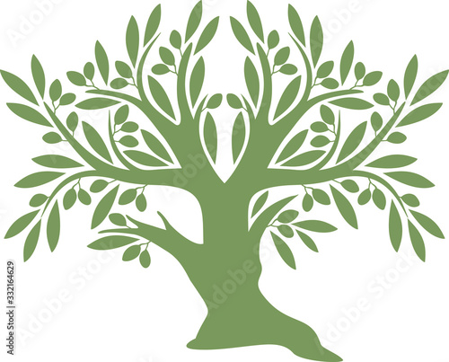 Olive tree series