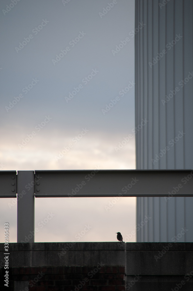 Silhouette of Birds Perched on Geometric Architecture Against Sunset Background Silhouette of Birds Perched on Geometric Architecture Against Sunset Background