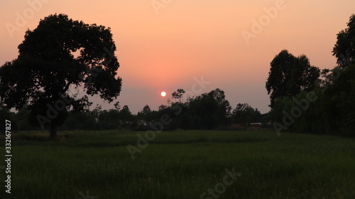 A beautiful evening sunset in the middle of the rice field.